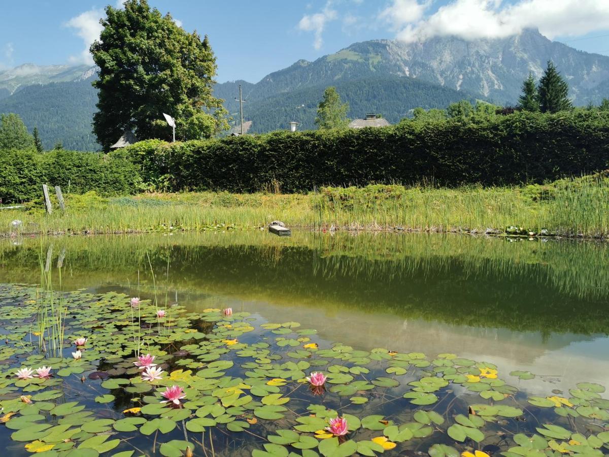 Landhotel Kastanienhof Gundersheim Екстер'єр фото
